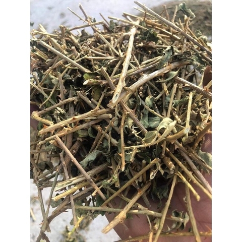 Cây Cà Gai Leo – Cà Dây Leo khô(túi 1kg)