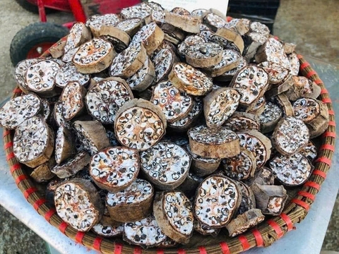 Chuối Hột Rừng thái lát khô