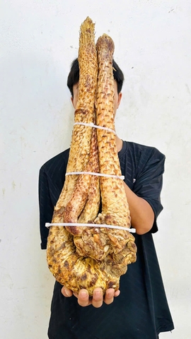 Nhục Thung Dung tươi