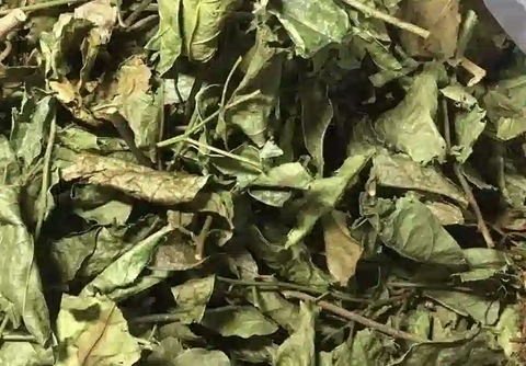 Cây Xạ Đen Hòa Bình khô(túi 1kg)