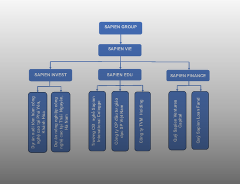 Sơ đồ tổ chức