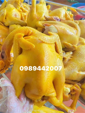 Gà đồi ủ muối