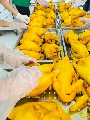 Gà ủ muối hoa tiêu