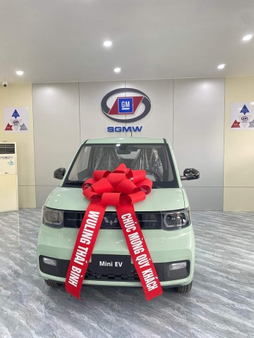 Xe điện Wuling Mini EV – LV2 ( màu xanh bơ- nóc đen)