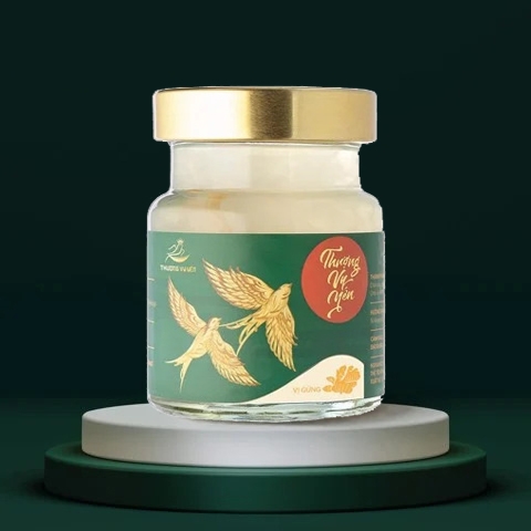 Thượng Vy Yến biển - Gừng