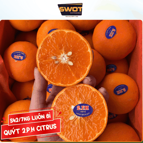 QUÝT 2.P.H CITRUS