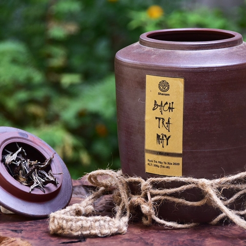 CHUM BẠCH TRÀ MÂY TÀ XÙA 1T-2L 200G