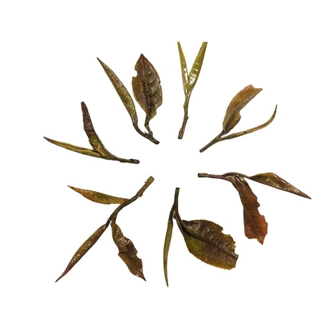 BẠCH TRÀ MÂY TÀ XÙA <BR> 1T2L/100G