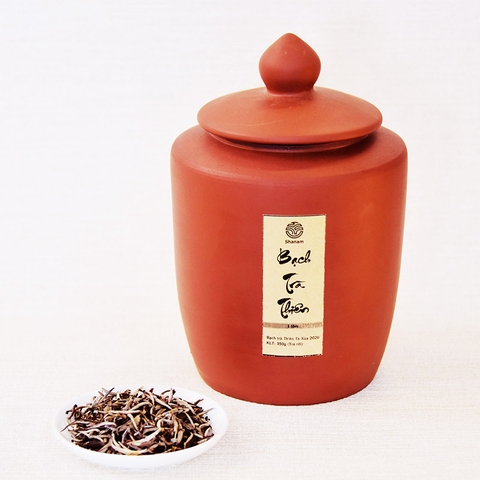 CHUM BẠCH TRÀ THIÊN TÀ XÙA 1T 100G