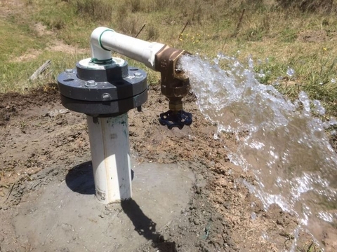 Sản phẩm là kho chứa ảnh từ web cũ KHÔNG ĐƯỢC XÓA 3