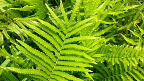 Sản phẩm là kho chứa ảnh từ web cũ KHÔNG ĐƯỢC XÓA 4