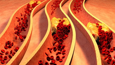 Sản phẩm là kho chứa ảnh từ web cũ KHÔNG ĐƯỢC XÓA 4