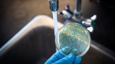 Sản phẩm là kho chứa ảnh từ web cũ KHÔNG ĐƯỢC XÓA 4