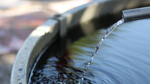 Sản phẩm là kho chứa ảnh từ web cũ KHÔNG ĐƯỢC XÓA 3