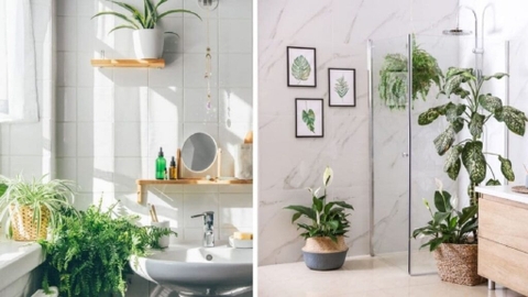 Sản phẩm là kho chứa ảnh từ web cũ KHÔNG ĐƯỢC XÓA 3