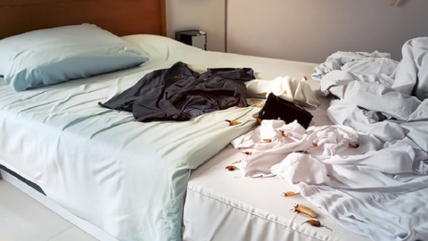 Sản phẩm là kho chứa ảnh từ web cũ KHÔNG ĐƯỢC XÓA 4