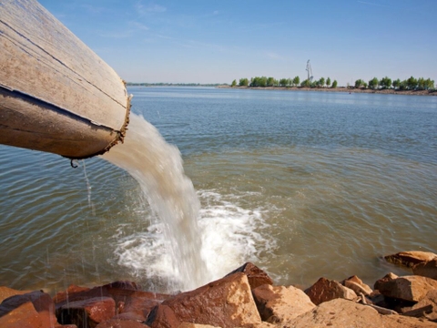 Sản phẩm là kho chứa ảnh từ web cũ KHÔNG ĐƯỢC XÓA 3