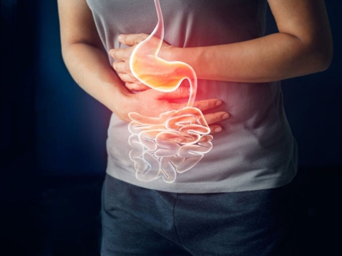 Sản phẩm là kho chứa ảnh từ web cũ KHÔNG ĐƯỢC XÓA 4