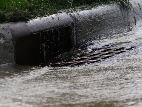 Sản phẩm là kho chứa ảnh từ web cũ KHÔNG ĐƯỢC XÓA 4