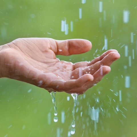 Sản phẩm là kho chứa ảnh từ web cũ KHÔNG ĐƯỢC XÓA 3