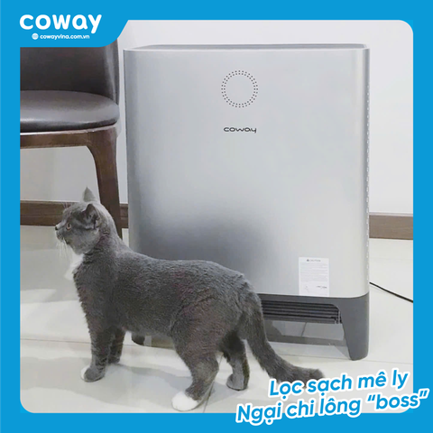 MÁY LỌC KHÔNG KHÍ PLATFORM 600