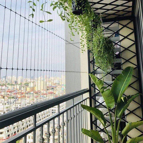 LƯỚI AN TOÀN