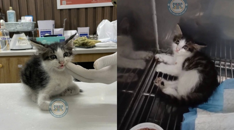 Trong sự bất hạnh, vẫn có yêu thương - Cuộc sống mỗi ngày vẫn luôn có những câu chuyện nhỏ xoa dịu trái tim ta