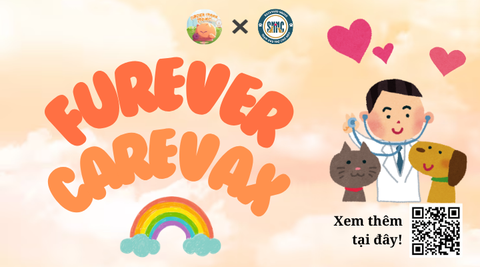 SỰ KIỆN FUREVER CARE VAX - TIÊM PHÒNG MIỄN PHÍ, MUA HÀNG GÂY QUỸ CÙNG FUREVER FRIENDS PROJECT x SÂN NHÀ NHIỀU CHÓ