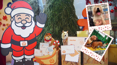 THÁNG TRAO ĐI YÊU THƯƠNG – LƯU GIỮ MOMENT CÙNG CÁC BÉ SNNC TẠI CELA PAW