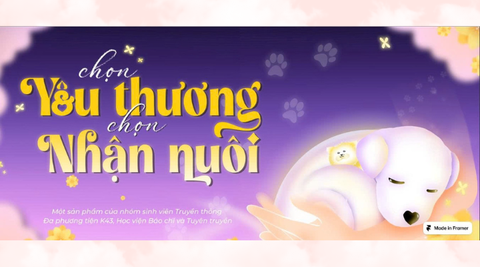 Chọn yêu thương - Chọn nhận nuôi: Hành trình hồi sinh kỳ diệu tại Sân Nhà Nhiều Chó