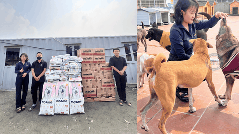 Lời cảm ơn sâu sắc Sân muốn gửi tới nhãn hàng Maxime Việt Nam với món quà vô cùng to lớn và ý nghĩa cho các bé cún miu