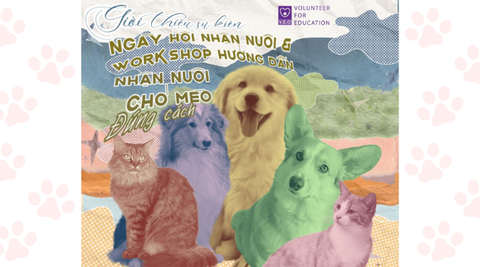 Sự kiện: Ngày hội Nhận nuôi 