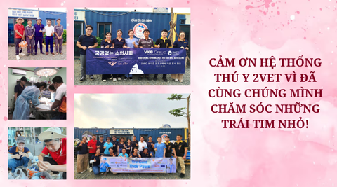 Cảm ơn Hệ thống Thú y 2Vet vì đã cùng chúng mình chăm sóc những trái tim nhỏ!