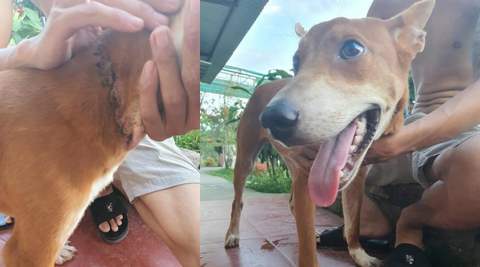 Gắn bó với mái nhà chung hai năm và giờ đây em đã có cho mình một ngôi nhà mới nơi sẽ yêu thương em vô bờ bến