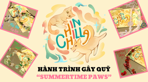 Chinchilla và Hành trình gây quỹ 
