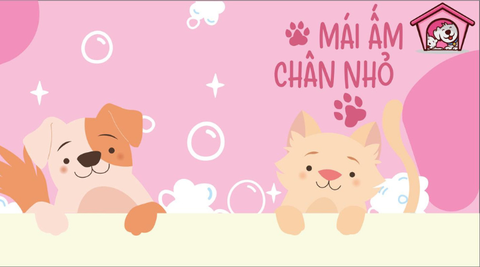 SÂN NHÀ NHIỀU CHÓ ĐỒNG HÀNH CÙNG DỰ ÁN “MÁI ẤM CHÂN NHỎ”