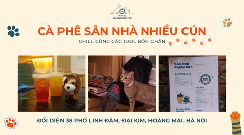 Cafe Sân nhà nhiều cún - nơi lan tỏa và trao đi yêu thương