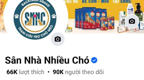 Fanpage Facebook của Sân nhà nhiều chó đã có tích xanh!