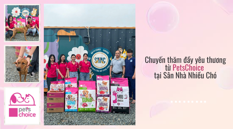 Chuyến thăm đầy yêu thương từ PetsChoice dành cho cún mèo tại Sân Nhà Nhiều Chó