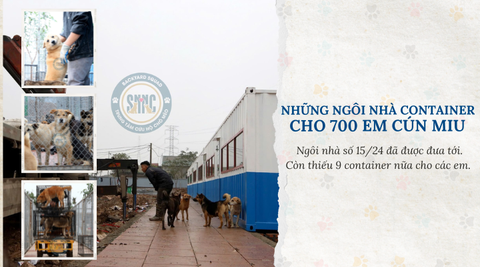 Kêu gọi hỗ trợ hoàn thành xây dựng trạm cứu hộ cho 800 em cún miu Sân nhà nhiều chó