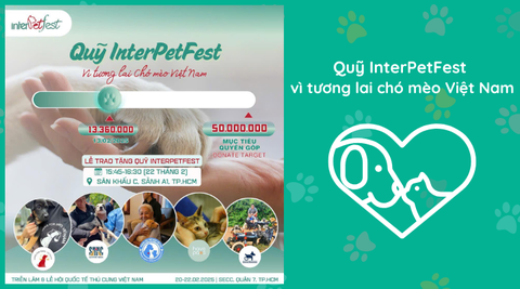 Sân Nhà Nhiều Chó đồng hành cùng InterPetFest - Triển lãm & Lễ hội Quốc tế Thú cưng Việt Nam!