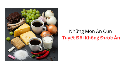 Những món ăn cún tuyệt đối không được ăn