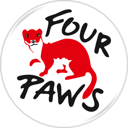 Ký tên thư kiến nghị xin chấm dứt nạn buôn bán chó mèo cùng FOUR PAWS