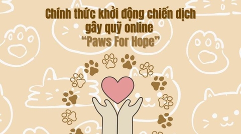 Chiến dịch gây quỹ online PAWS FOR HOPE - FUREVER FRIENDS PROJECT × SÂN NHÀ NHIỀU CHÓ