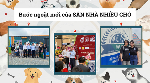Bước ngoặt mới của Sân Nhà Nhiều Chó