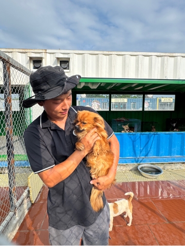 Đang cập nhật