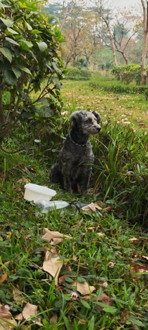 Lạc