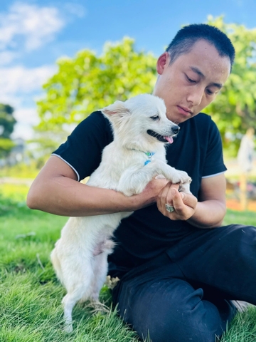 Gạo