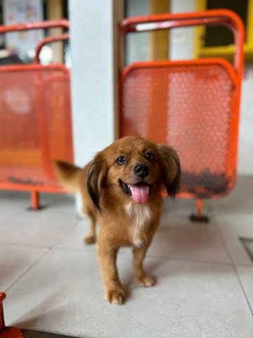 Bé XẸT
