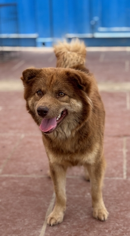 Đang xác nhận